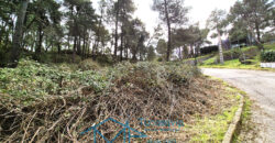 Parcela en Cadalso de los Vidrios