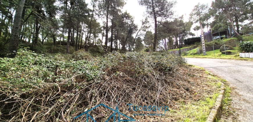 Parcela en Cadalso de los Vidrios
