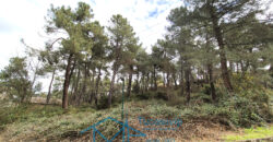 Parcela en Cadalso de los Vidrios