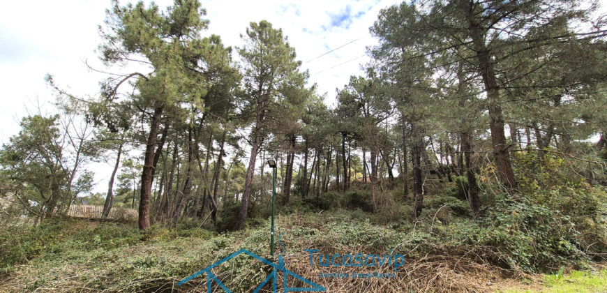 Parcela en Cadalso de los Vidrios