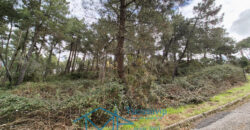 Parcela en Cadalso de los Vidrios