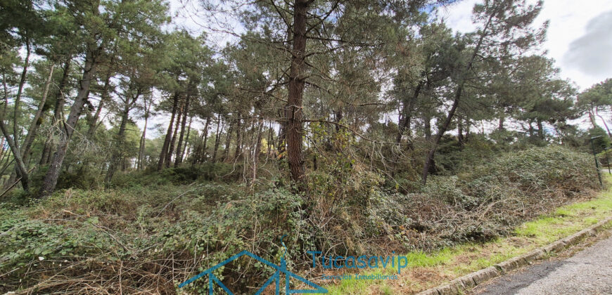 Parcela en Cadalso de los Vidrios