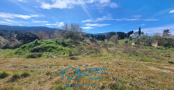 Parcela en Pelayos de la Presa