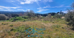 Parcela en Pelayos de la Presa