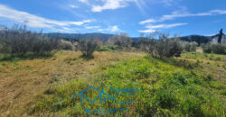 Parcela en Pelayos de la Presa