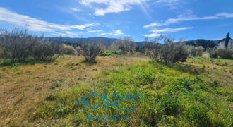 Parcela en Pelayos de la Presa