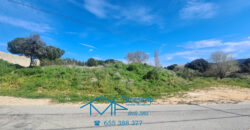 Parcela en Pelayos de la Presa