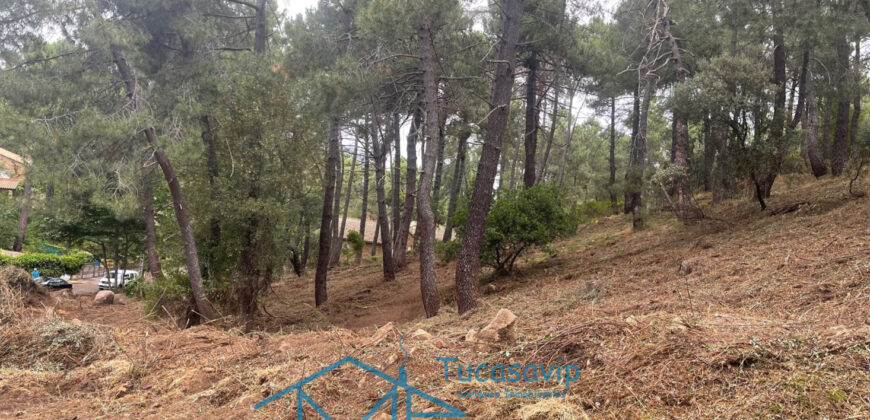 Parcela en Cadalso de los Vidrios