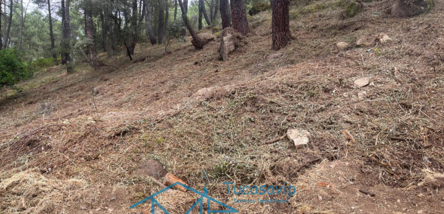 Parcela en Cadalso de los Vidrios