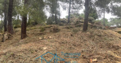 Parcela en Cadalso de los Vidrios
