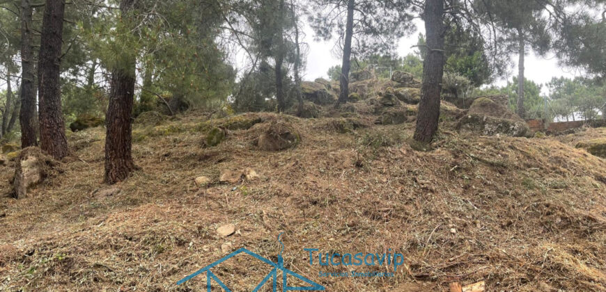 Parcela en Cadalso de los Vidrios