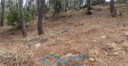 Parcela en Cadalso de los Vidrios