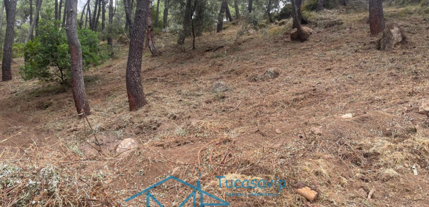 Parcela en Cadalso de los Vidrios