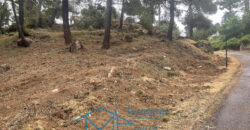 Parcela en Cadalso de los Vidrios