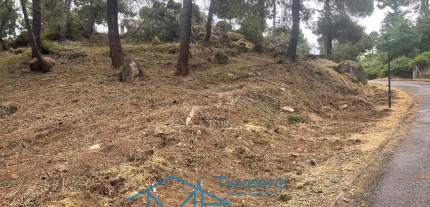 Parcela en Cadalso de los Vidrios