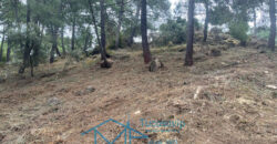 Parcela en Cadalso de los Vidrios