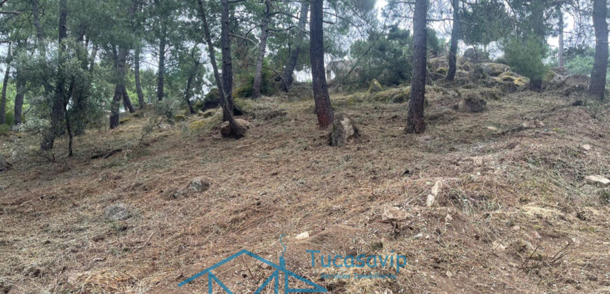 Parcela en Cadalso de los Vidrios