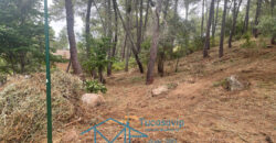 Parcela en Cadalso de los Vidrios