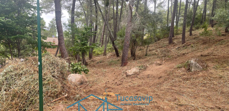 Parcela en Cadalso de los Vidrios