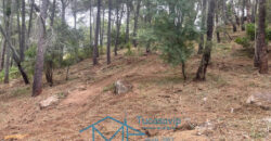 Parcela en Cadalso de los Vidrios