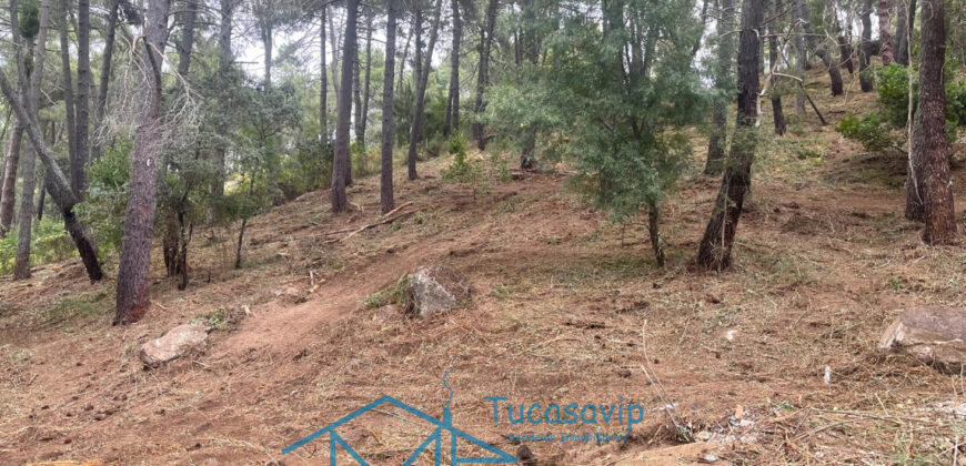 Parcela en Cadalso de los Vidrios