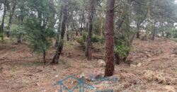 Parcela en Cadalso de los Vidrios