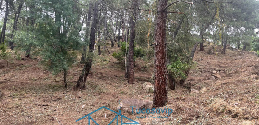 Parcela en Cadalso de los Vidrios