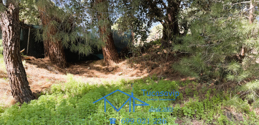 Parcela en San Martín de Valdeiglesias