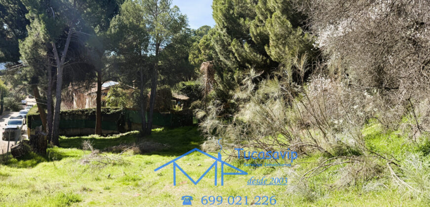 Parcela en San Martín de Valdeiglesias