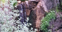 Bonita Parcela en Cebreros