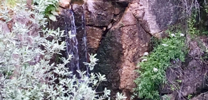 Bonita Parcela en Cebreros