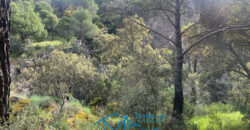 Bonita Parcela en Cebreros