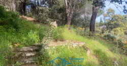 Bonita Parcela en Cebreros