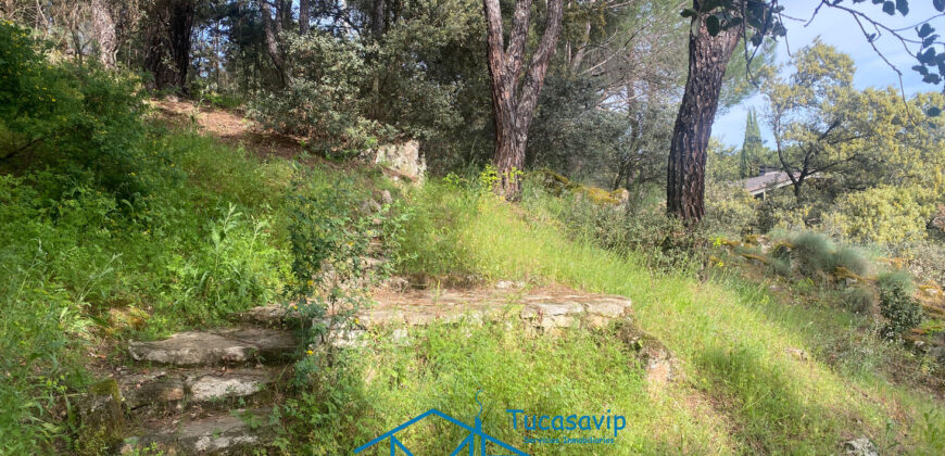 Bonita Parcela en Cebreros