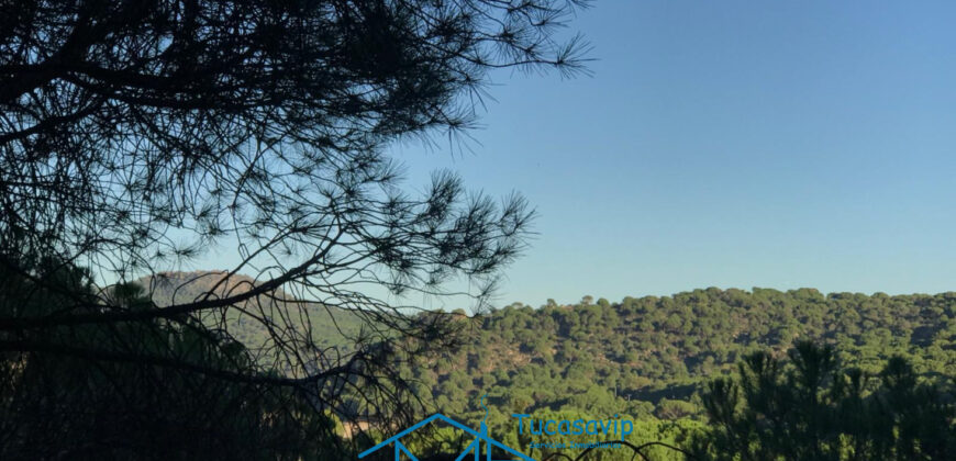 Bonita Parcela en Cebreros