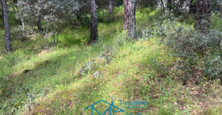 Bonita Parcela en Cebreros