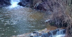 Bonita Parcela en Cebreros