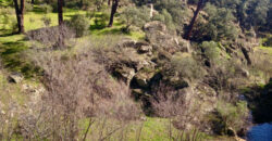 Bonita Parcela en Cebreros