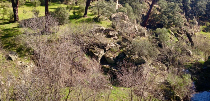 Bonita Parcela en Cebreros