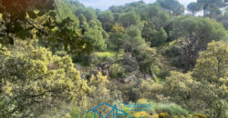 Bonita Parcela en Cebreros