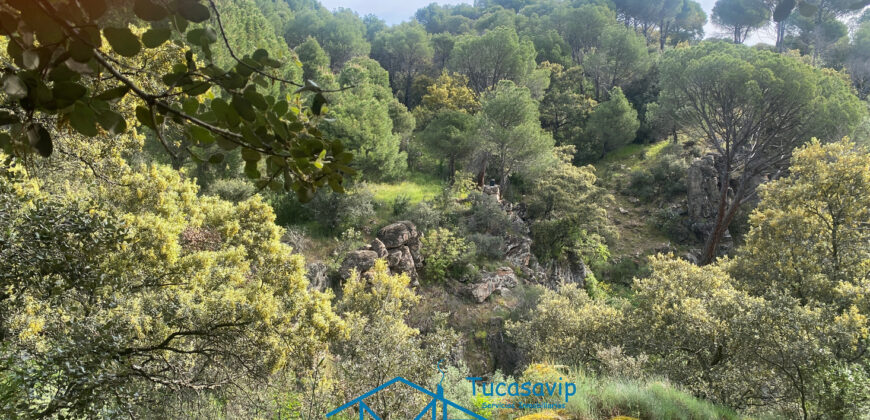 Bonita Parcela en Cebreros