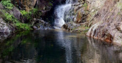 Bonita Parcela en Cebreros