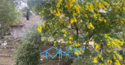 Chalet Independiente en El Tiemblo