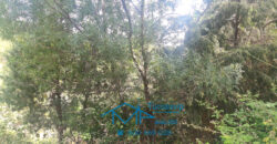 Parcela en El Tiemblo