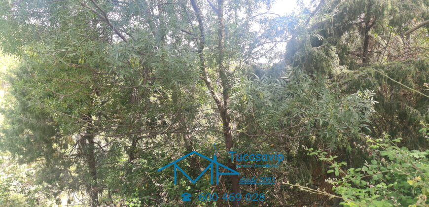 Parcela en El Tiemblo