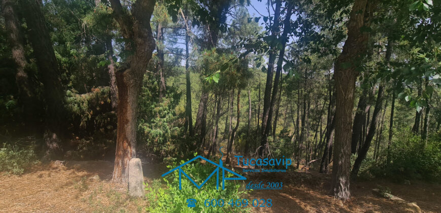 Parcela en El Tiemblo