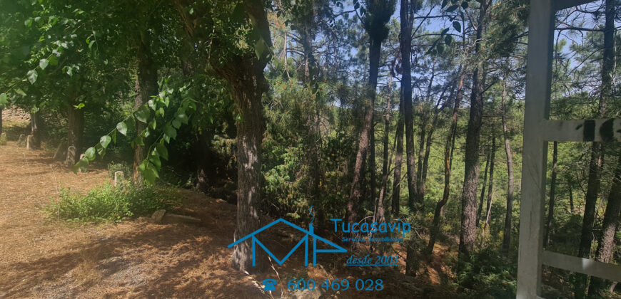 Parcela en El Tiemblo