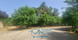 Parcela en El Tiemblo