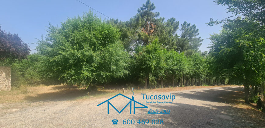 Parcela en El Tiemblo