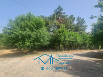 Parcela en El Tiemblo